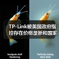 TP-Link被美国政府指控存在价格垄断和国家安全风险(图2) TP-Link被美国政府指控存在价格垄断和国家安全风险(图2)