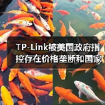 TP-Link被美国政府指控存在价格垄断和国家安全风险(图3) TP-Link被美国政府指控存在价格垄断和国家安全风险(图3)