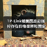 TP-Link被美国政府指控存在价格垄断和国家安全风险(图1) TP-Link被美国政府指控存在价格垄断和国家安全风险(图1)