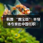 韩国 “国宝级” 半导体专家赴中国任职（图1）