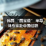 韩国 “国宝级” 半导体专家赴中国任职（图4）