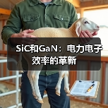 SiC和GaN:电力电子效率的革新(图1) SiC和GaN:电力电子效率的革新(图1)