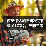 英伟达中国芯片禁令下技术突围与国产替代博弈