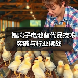 锂离子电池替代品技术突破与行业挑战(图3) 锂离子电池替代品技术突破与行业挑战(图3)