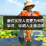 康佳实控人变更为中国华润，华润入主推动资源整合（图4）