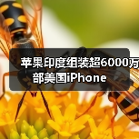 苹果印度组装超6000万部美国iPhone(图2) 苹果印度组装超6000万部美国iPhone(图2)