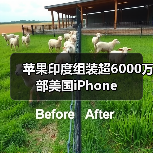 苹果印度组装超6000万部美国iPhone(图1) 苹果印度组装超6000万部美国iPhone(图1)
