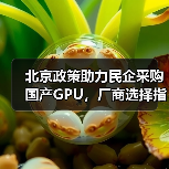 北京政策助力民企采购国产GPU，厂商选择指南（图4）