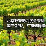北京政策助力民企采购国产GPU，厂商选择指南（图2）