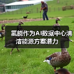 氢能作为AI数据中心清洁能源方案潜力（图3）