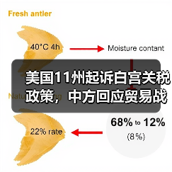 美国11州起诉白宫关税政策,中方回应贸易战立场(图2) 美国11州起诉白宫关税政策,中方回应贸易战立场(图2)