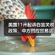 美国11州起诉白宫关税政策,中方回应贸易战立场(图1) 美国11州起诉白宫关税政策,中方回应贸易战立场(图1)