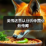 英伟达否认分拆中国业务传闻(图4) 英伟达否认分拆中国业务传闻(图4)