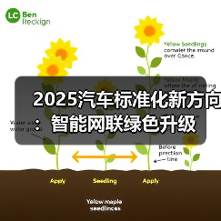 2025汽车标准化新方向：智能网联绿色升级（图4）