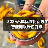 2025汽车标准化新方向：智能网联绿色升级（图2）