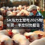 SK海力士发布2025财年第一季度财务报告(图3) SK海力士发布2025财年第一季度财务报告(图3)