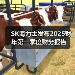 SK海力士发布2025财年第一季度财务报告(图4) SK海力士发布2025财年第一季度财务报告(图4)