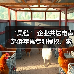 “果链” 企业共达电声起诉苹果专利侵权，索赔 1.43 亿元（图2）
