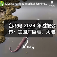 台积电 2024 年财报公布：美国厂巨亏，大陆厂大赚（图3）