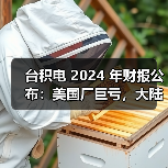 台积电 2024 年财报公布：美国厂巨亏，大陆厂大赚（图1）
