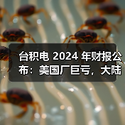 台积电 2024 年财报公布：美国厂巨亏，大陆厂大赚（图2）