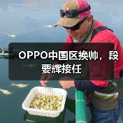 OPPO中国区换帅，段要辉接任（图2）