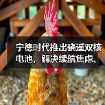宁德时代推出骁遥双核电池，解决续航焦虑、安全等核心痛点（图3）
