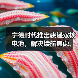 宁德时代推出骁遥双核电池，解决续航焦虑、安全等核心痛点（图4）