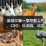 英特尔第一季财报公布,CEO:砍流程、砍层级、押技术(图3) 英特尔第一季财报公布,CEO:砍流程、砍层级、押技术(图3)