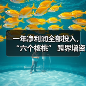 一年净利润全部投入，“六个核桃” 跨界增资长江存储母公司（图3）