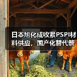 日本旭化成收紧PSPI材料供应，国产化替代箭在弦上（图1）