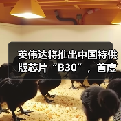 英伟达将推出中国特供版芯片“B30”，首度支持多GPU扩展（图3）