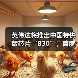 英伟达将推出中国特供版芯片“B30”，首度支持多GPU扩展（图2）