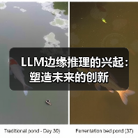 LLM边缘推理的兴起:塑造未来的创新(图4) LLM边缘推理的兴起:塑造未来的创新(图4)
