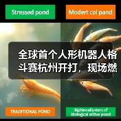 全球首个人形机器人格斗赛杭州开打,现场燃爆了(图2) 全球首个人形机器人格斗赛杭州开打,现场燃爆了(图2)