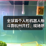 全球首个人形机器人格斗赛杭州开打,现场燃爆了(图4) 全球首个人形机器人格斗赛杭州开打,现场燃爆了(图4)