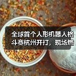 全球首个人形机器人格斗赛杭州开打,现场燃爆了(图3) 全球首个人形机器人格斗赛杭州开打,现场燃爆了(图3)