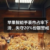 苹果智能手表市占率下滑，失守20%份额警戒线（图4）
