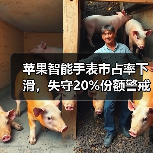 苹果智能手表市占率下滑，失守20%份额警戒线（图3）