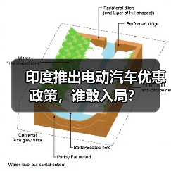 印度推出电动汽车优惠政策，谁敢入局？（图4）
