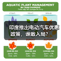 印度推出电动汽车优惠政策，谁敢入局？（图1）