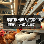 印度推出电动汽车优惠政策，谁敢入局？（图2）