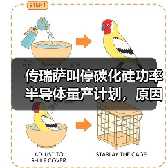 传瑞萨叫停碳化硅功率半导体量产计划,原因有两点(图4) 传瑞萨叫停碳化硅功率半导体量产计划,原因有两点(图4)