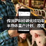 传瑞萨叫停碳化硅功率半导体量产计划,原因有两点(图1) 传瑞萨叫停碳化硅功率半导体量产计划,原因有两点(图1)