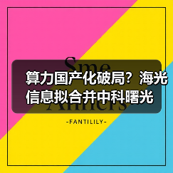 算力国产化破局？海光信息拟合并中科曙光（图3）