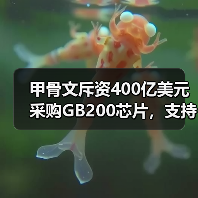 甲骨文斥资400亿美元采购GB200芯片，支持“星际之门”计划（图1）