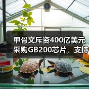 甲骨文斥资400亿美元采购GB200芯片，支持“星际之门”计划（图2）