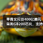甲骨文斥资400亿美元采购GB200芯片，支持“星际之门”计划（图4）