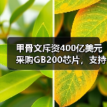 甲骨文斥资400亿美元采购GB200芯片，支持“星际之门”计划（图3）