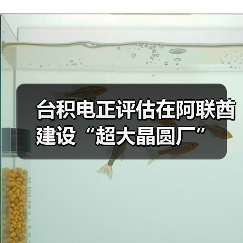 台积电正评估在阿联酋建设“超大晶圆厂”（图2）